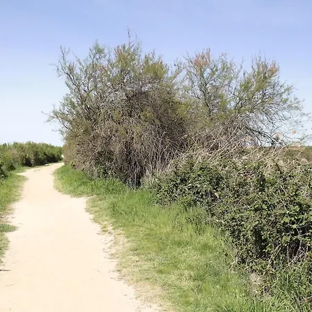 Location Cocooning A Audenge