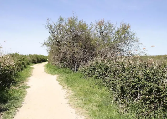 Location Cocooning A Audenge